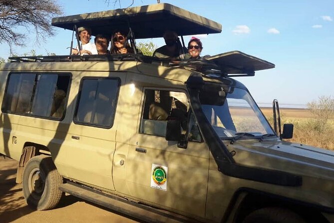 Private Multi day Safari tour in Tanzania - What $3,900 buys you on this private safari