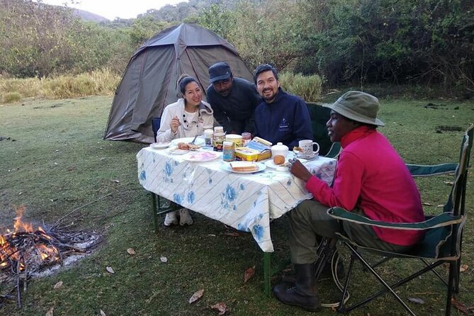 Private Multi day Safari tour in Tanzania - Two Serengeti days give wildlife more time
