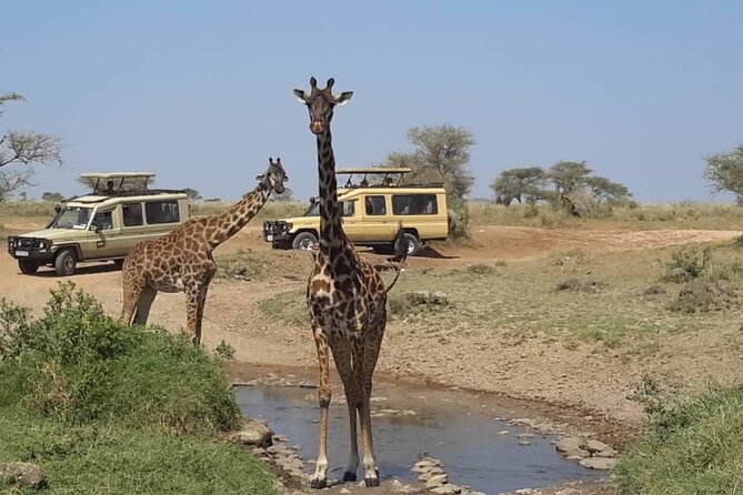 Private Multi day Safari tour in Tanzania - Two 17-kilometer walks along the crater rim