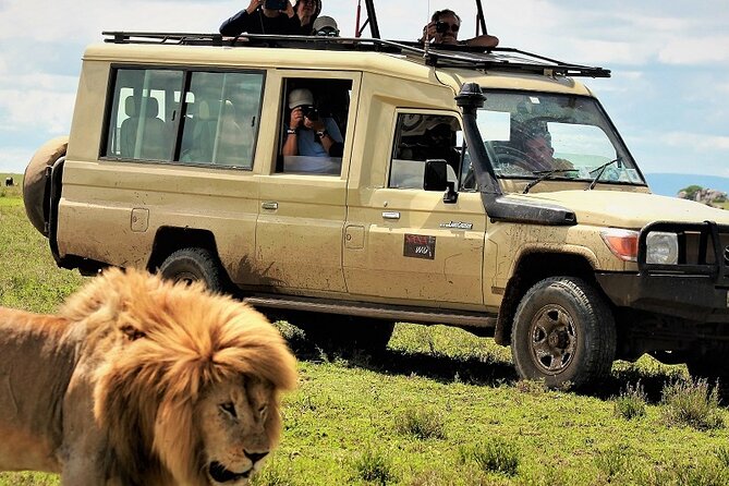 Private Multi Day Serengeti Safari - Quick points before you book