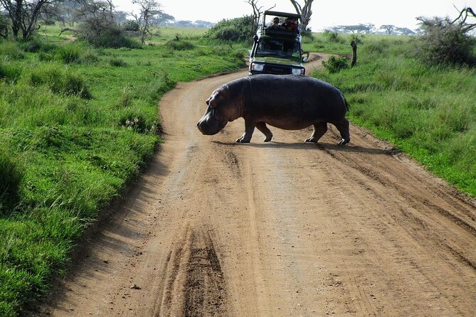 Private Multi-Day Tour in Tanzania Safari - Day 1: Lake Manyara opens with flamingoes and forest