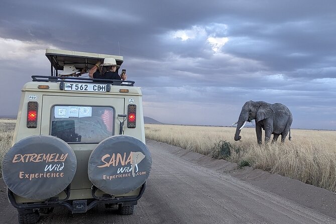 Private Multi Day Tour Tanzania Safari - Day 2: Lake Manyara’s small area, big variety