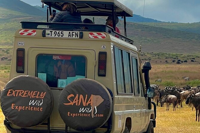Private Multi Day Tour Tanzania Safari - Day 3: Ngorongoro Crater’s concentrated wildlife