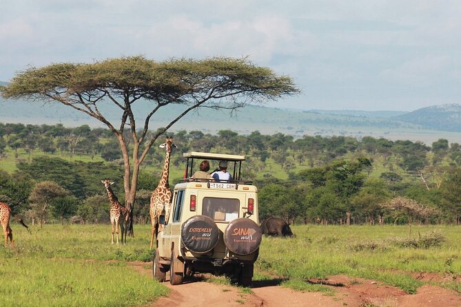 Private Multi Day Tour Tanzania Safari - Day 6: Mto wa Mbu village or final time in Arusha