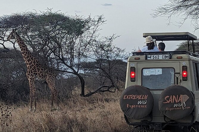 Private Multi Day Tour Tanzania Safari - What the $3,205 price really covers
