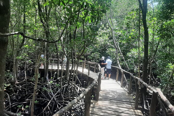 Private Spice Tour and Jozani Forest in Zanzibar - Key points at a glance