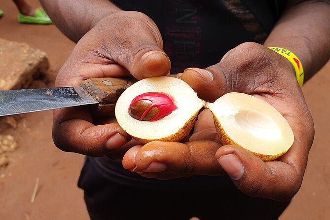 Private Spice Tour in Zanzibar with Pick Up - Who will enjoy this tour most