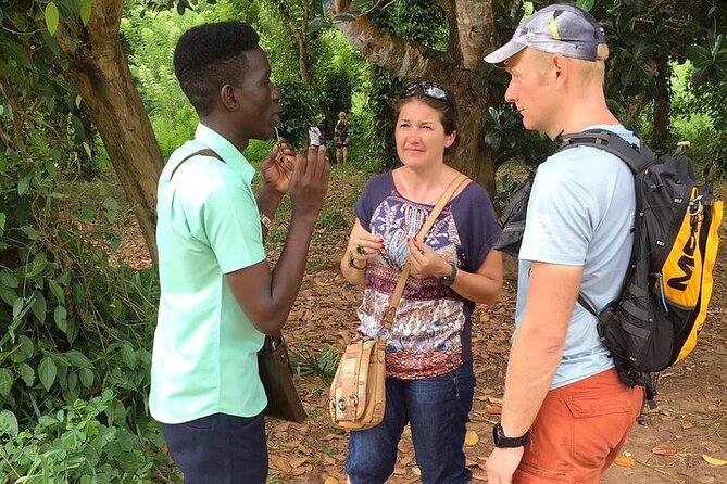 Private Stone Town, Nakupenda Beach and Prison Island Tour - Changuu Island adds tortoises and a difficult past