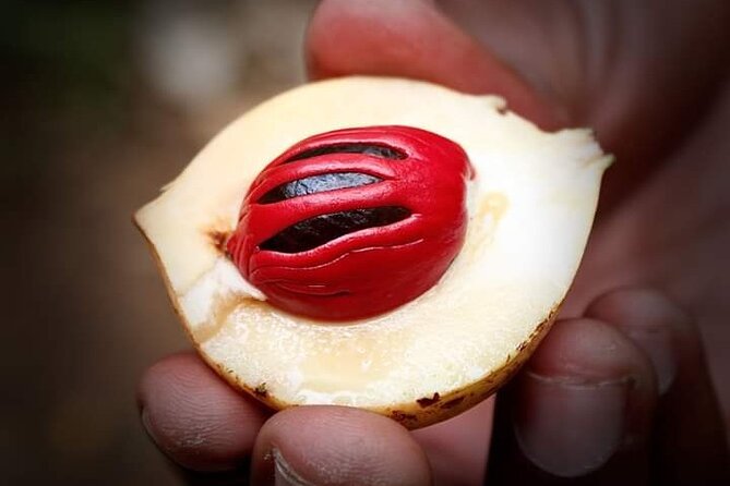 Private Stone Town & Spice Tour - Why this Stone Town and spice-farm pairing works