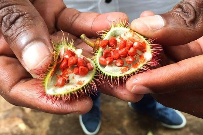 Private Stone Town & Spice Tour - Is $88.09 a fair price?