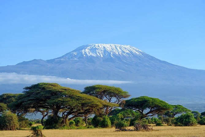 Private Tour to Marangu Waterfalls, Chagga Caves, Coffee tour & Hot Springs - A Full Day Between Waterfalls and Warm Springs