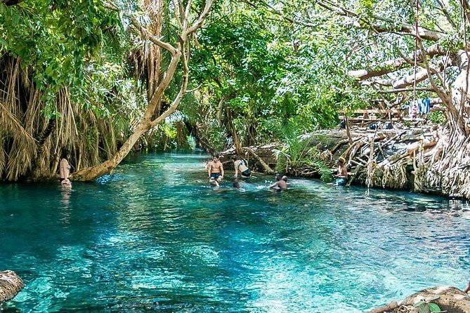 Private Tour to Materuni waterfalls, coffee tour & Kikuletwa hot- springs - Why this makes a good break from safari parks