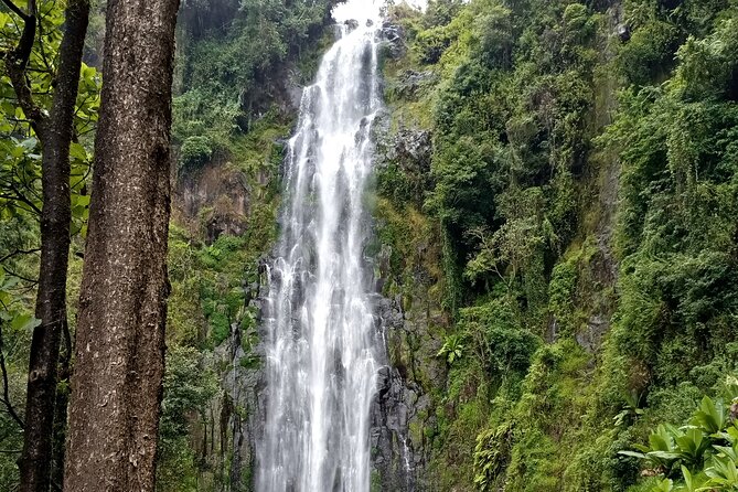 Private Tour to Materuni waterfalls, coffee tour & Kikuletwa hot- springs - What to pack and what to confirm