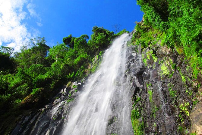 Private Tour to Materuni Waterfalls, coffee tour, Kikuletwa Hot Springs & Maasai - Making coffee from green beans to finished cup