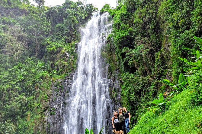 Private Tour to Materuni Waterfalls, coffee tour, Kikuletwa Hot Springs & Maasai - Kikuletwa’s clear water and rope swing