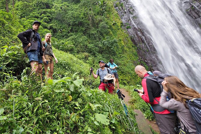 Private Tour to Materuni Waterfalls, coffee tour, Kikuletwa Hot Springs & Maasai - Lunch, wine, and what is included