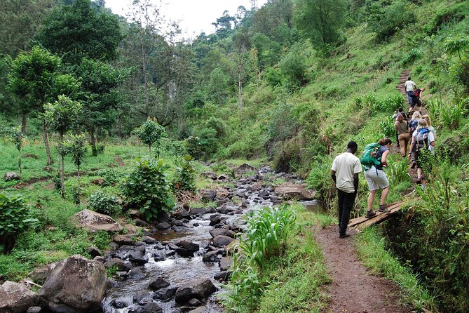 Private Tour to Materuni Waterfalls, coffee tour, Kikuletwa Hot Springs & Maasai - How the private format changes the day
