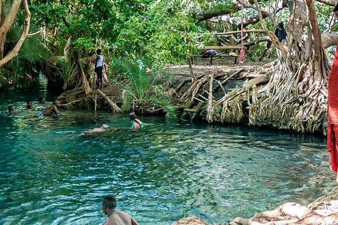 Private Tour to Materuni Waterfalls, coffee tour, Kikuletwa Hot Springs & Maasai - Who will enjoy this experience most