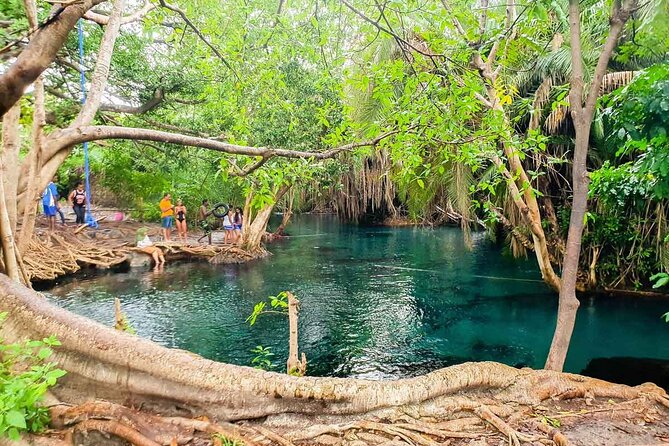Private Tour to Materuni Waterfalls, coffee tour, Kikuletwa Hot Springs & Maasai - The walk to Materuni Waterfalls