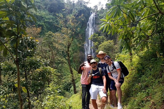 Private Tour to Materuni waterfalls, coffee tour & Kikuletwa hot- springs - Making coffee from bean to cup