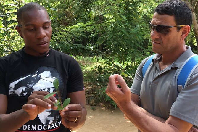 Private Tour Zanzibar Unique Stone Town with spice Farm Plantations - A Two-Hour Visit to a Zanzibar Spice Farm