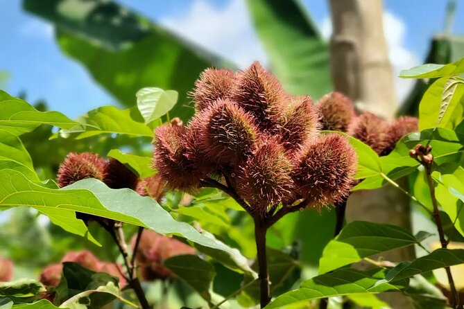 Private Tour Zanzibar Unique Stone Town with spice Farm Plantations - Is $61 a Fair Price?