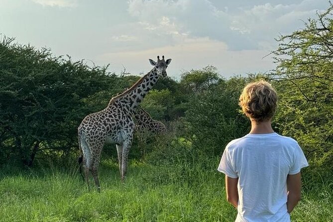 Private Walking Tour with Giraffes - The education center comes first
