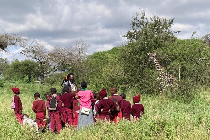 Private Walking Tour with Giraffes - Getting there and planning your time