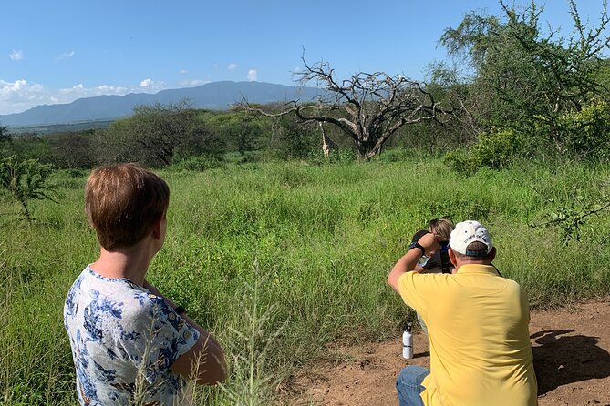 Private Walking Tour with Giraffes - Conservation, breeding, and rewilding