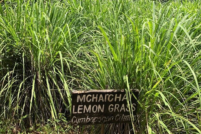 Private Zanzibar Spice Farm Tour - Arriving at Jambo Spice Farm