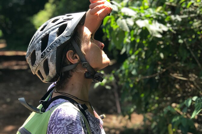 Rau Forest Bike tour - Reaching the rice fields and getting your hands dirty