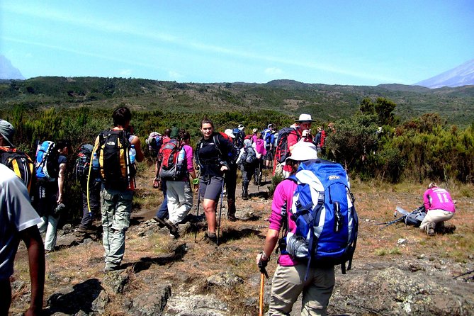 Rongai Route 6 Days 5 Nights/Kilimanjaro climb - Day one: fields, pine forest, and Kenyan views