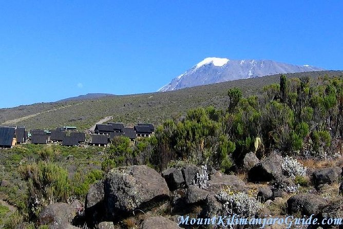 Rongai Route 6 Days 5 Nights/Kilimanjaro climb - Day four: crossing the lunar saddle to Kibo Hut