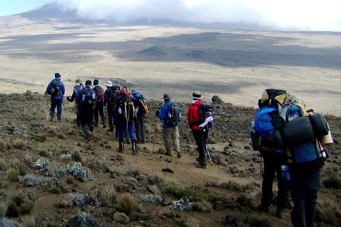 Rongai Route 6 Days 5 Nights/Kilimanjaro climb - Day five: Gilman’s Point, Uhuru Peak, and the long descent
