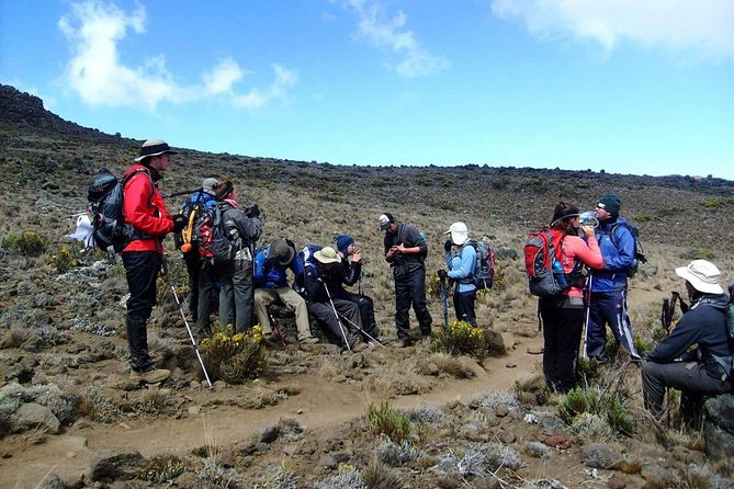 Rongai Route 6 Days 5 Nights/Kilimanjaro climb - Day two: Second Cave and the first serious altitude gain