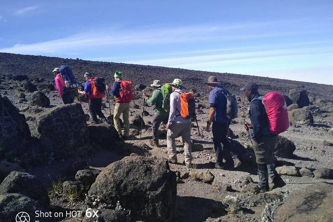 Rongai Route 7 Days - Day 2: A steady climb to Second Cave Camp