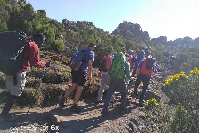 Rongai Route 7 Days - Day 3: Leaving the main trail for Kikelewa Camp