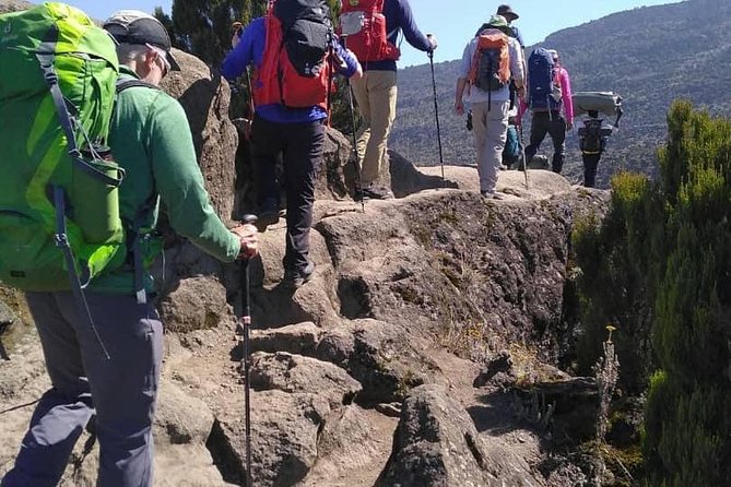 Rongai Route 7 Days - Day 6: Uhuru Peak and the long return to Horombo