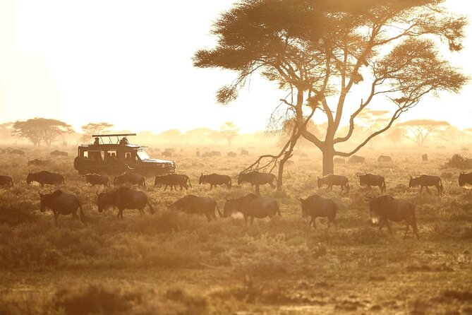 Saadani Day Trip - Animals you might see in Saadani