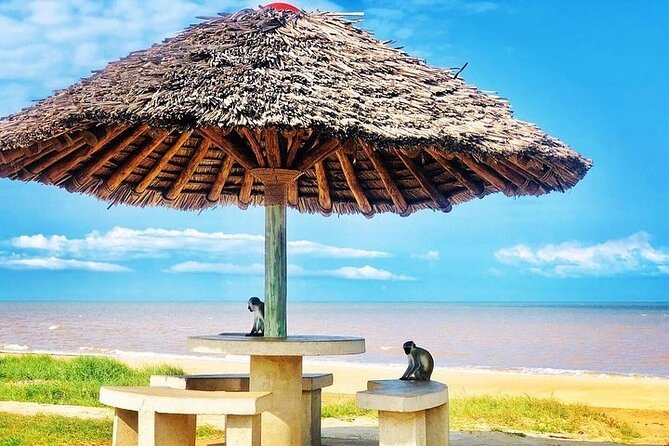 Saadani National Park Day Tour - What the beach setting adds, and what it does not