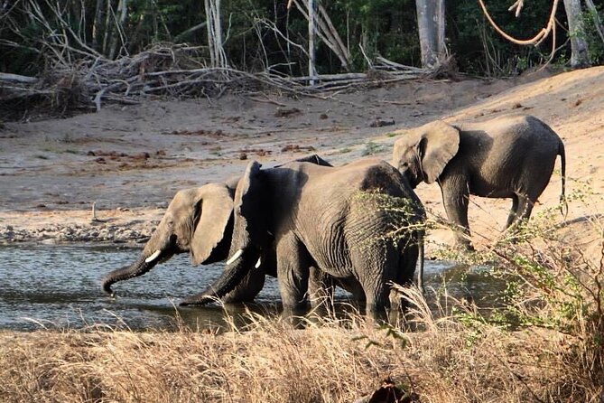 Saadani National Park Day Tour - Is $480 per person good value?