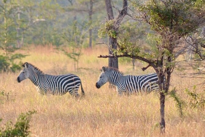 Saadani National Park Day Tour - Who will enjoy this day most?