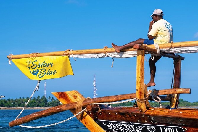 Safari Blue Private Full-Day Tour - Key points to know before booking