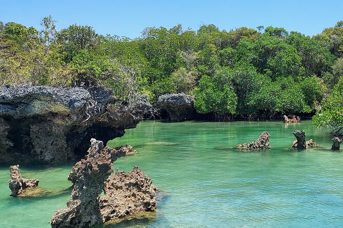 Safari Blue Zanzibar - Why Menai Bay makes this a full-day outing