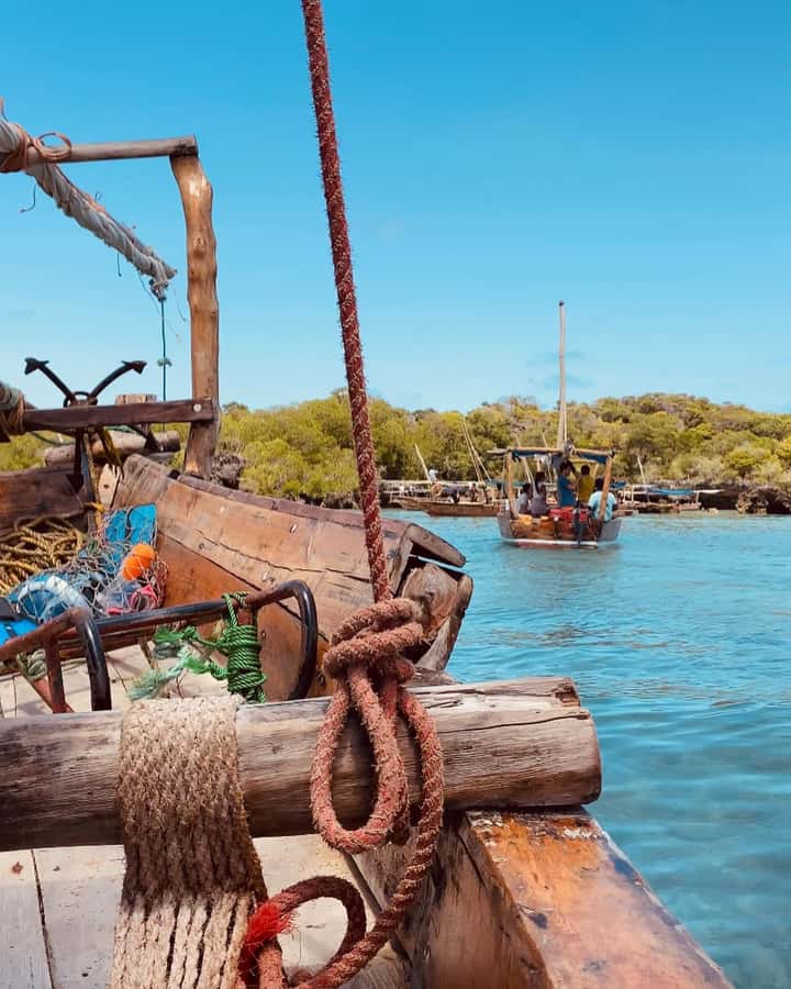 SAFARI BLUE ZANZIBAR : PRIVATE TRIP - A full day on Zanzibar’s blue water