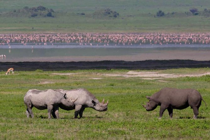 Safari in Tanzania 5 days: Manyara, Ngorongoro, Serengeti - What the $3,050 price really covers