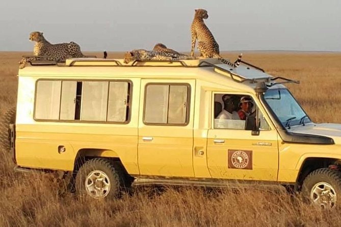 Safari in Tanzania 5 days: Manyara, Ngorongoro, Serengeti - Guide quality can make or break the experience