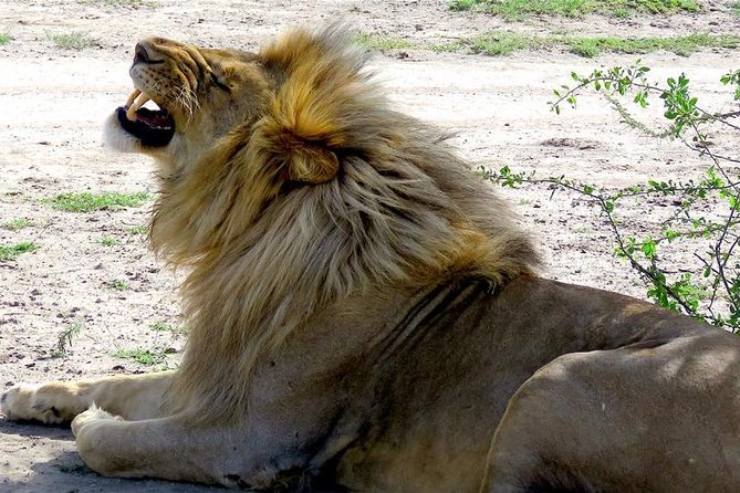 Safari "Kifaru" - 5 days in the most famous Parks in the world - Three famous parks, one tightly packed route