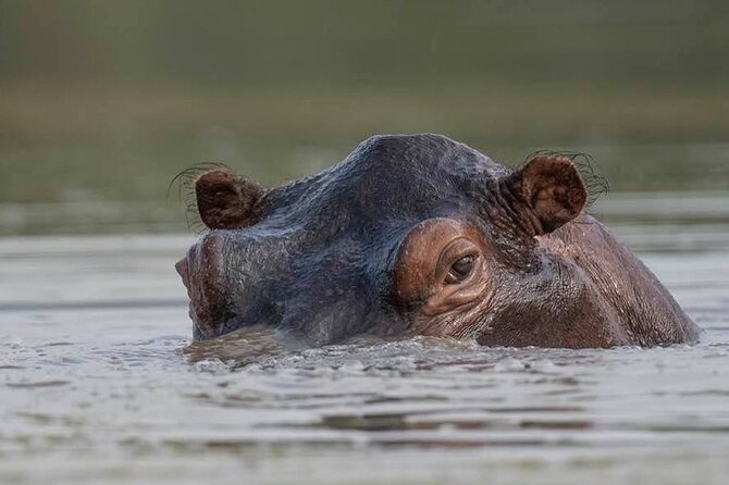 Safari Serengeti And Ngorongoro - What the private format really gives you