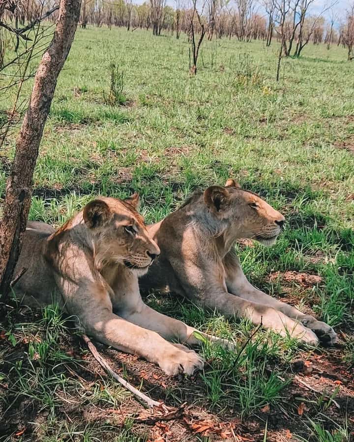 SAFARI WILDLIFE FROM ZANZIBAR TO MIKUMI 3 DAYS AND 2 NIGHTS - Day one: ferry, train, Morogoro, and Maasai culture